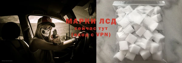 PSILOCYBIN Нязепетровск