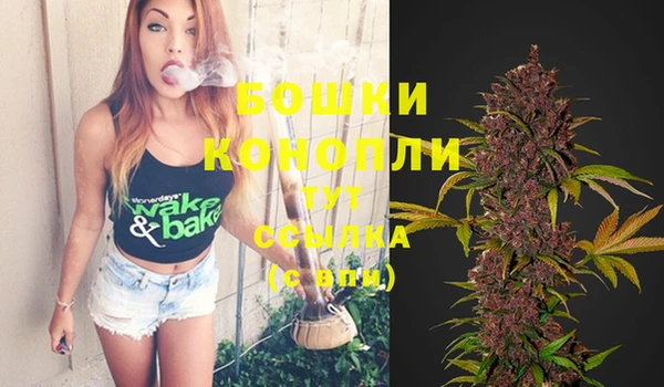 2c-b Няндома