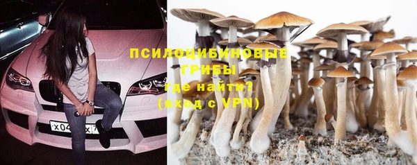 PSILOCYBIN Нязепетровск