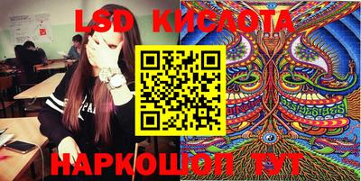 амф Донской