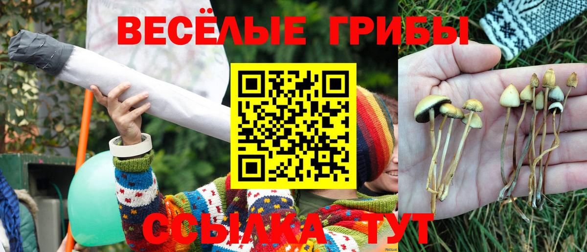 Галлюциногенные грибы MAGIC MUSHROOMS  где купить наркоту  Калач-на-Дону 