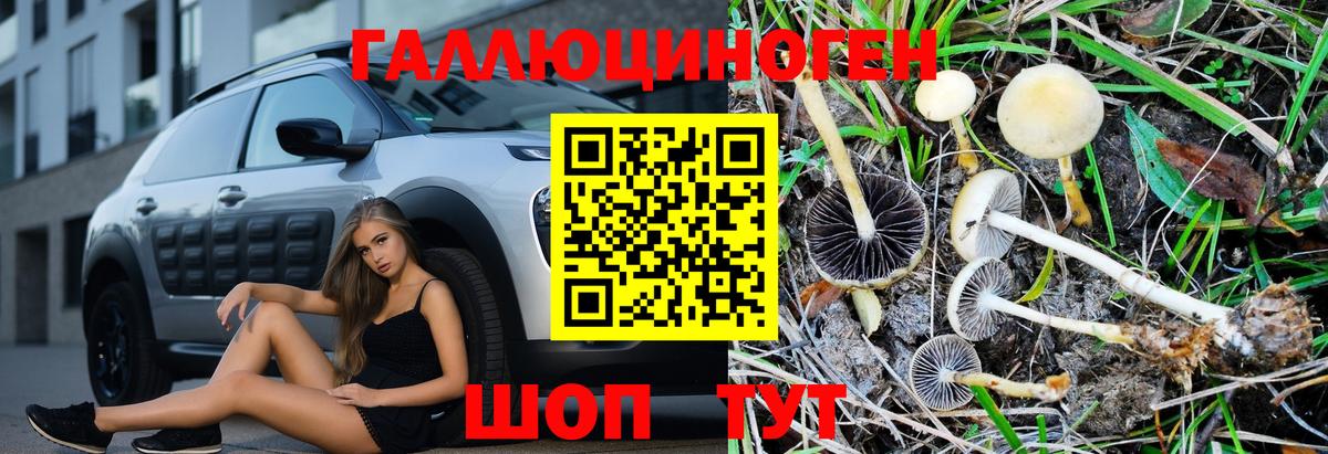 Псилоцибиновые грибы Psilocybine cubensis Калач-на-Дону